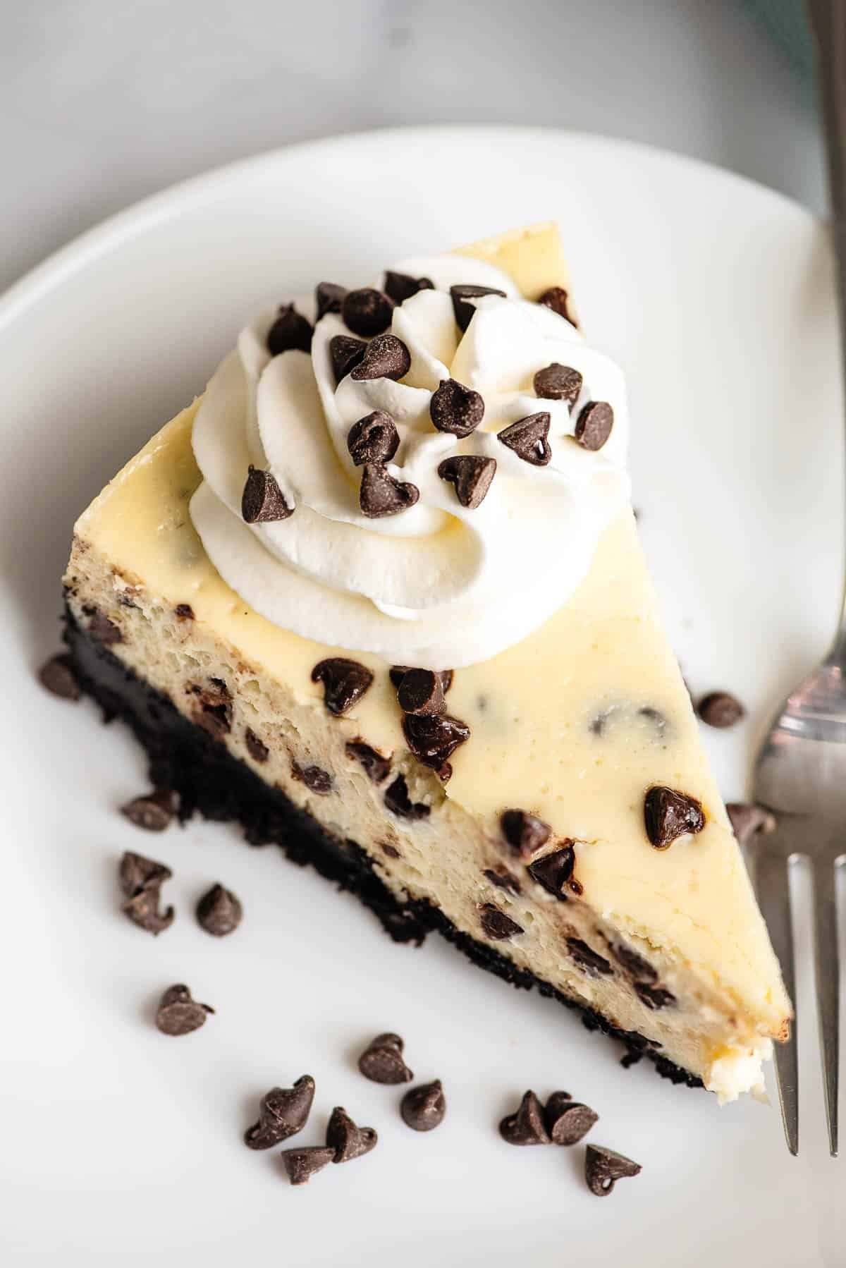 chocolate chip cheesecake slice from above.