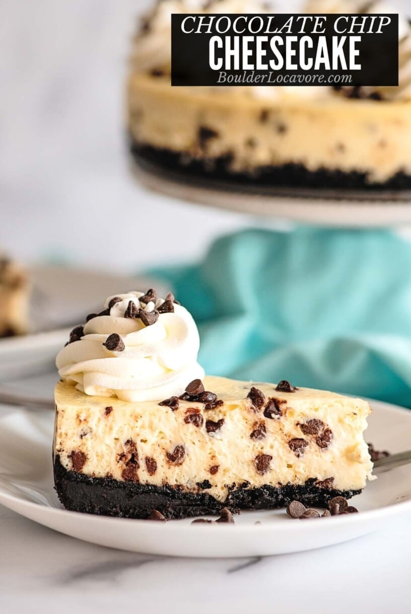 chocolate chip cheesecake slice from the side.