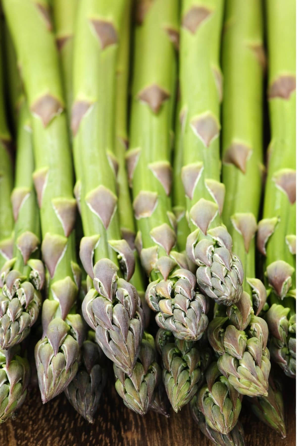 asparagus stalks close up