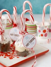 Candy Cane Hot Cocoa Pops. Swirl this pop in a cup of hot milk for rich, creamy peppermint hot chocolate. With printable gift labels! BoulderLocavore.com