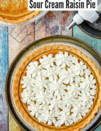 Sour Cream Raisin Pie